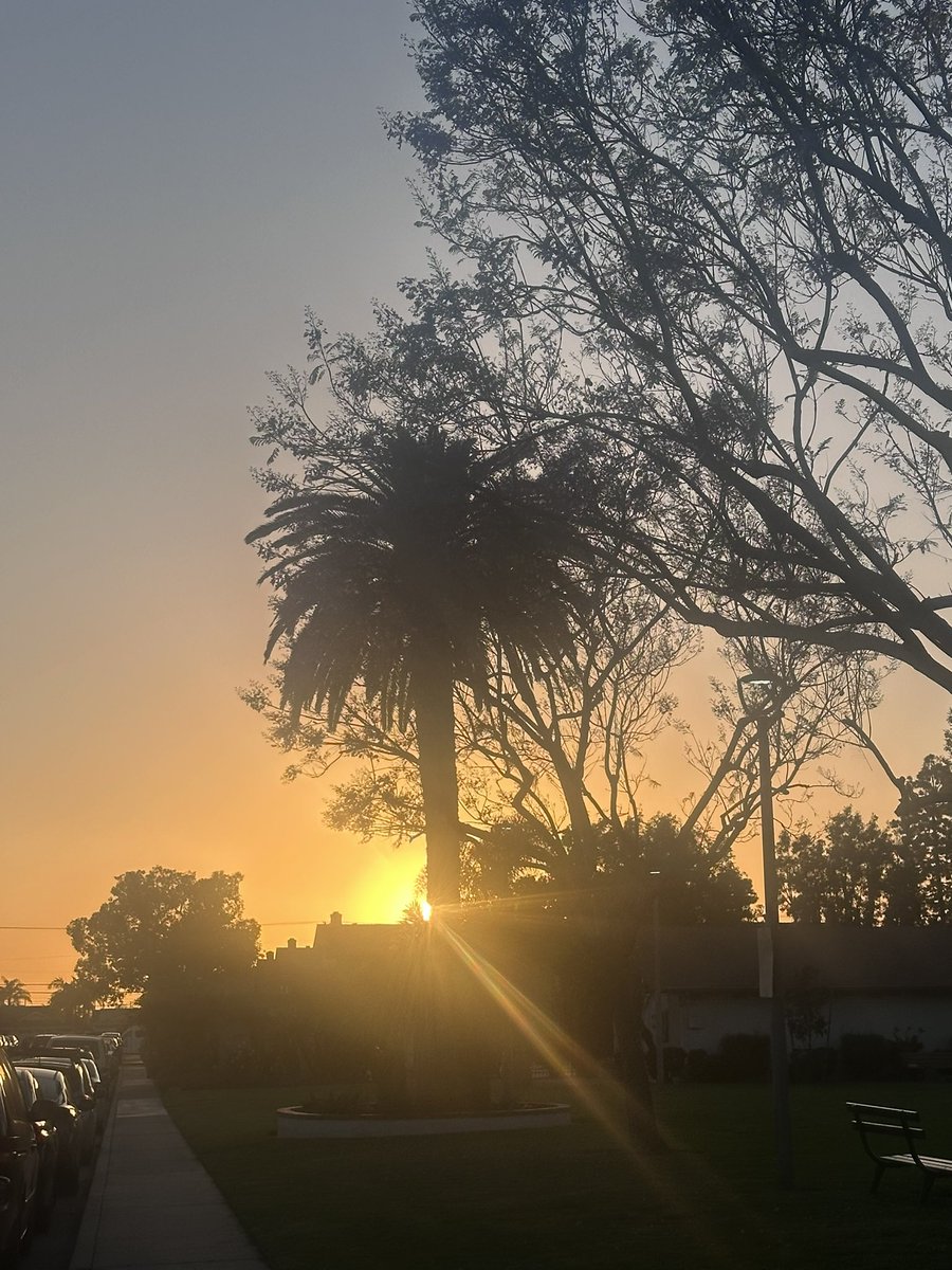 NKaravedas's tweet image. After Dinner Walk......NEVER Disappoints  #HuntingtonBeach #Steps #MovementIsMedicine 
😎🌴🧡