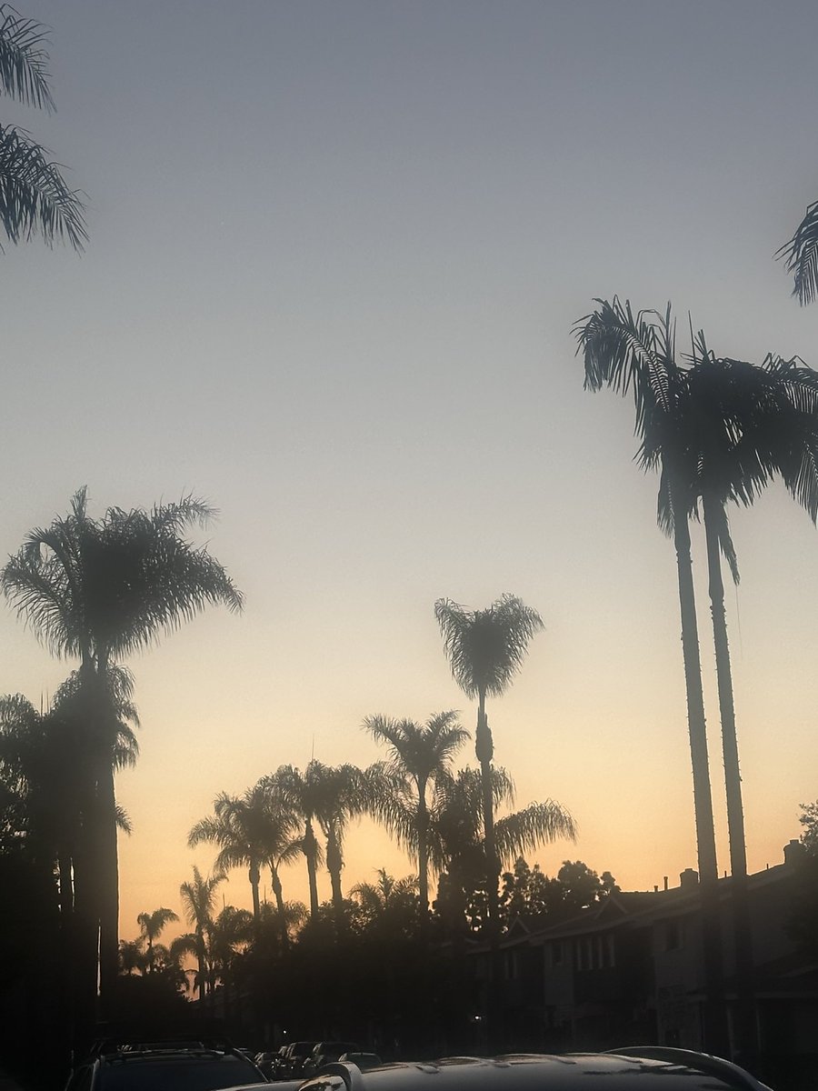 NKaravedas's tweet image. After Dinner Walk......NEVER Disappoints  #HuntingtonBeach #Steps #MovementIsMedicine 
😎🌴🧡