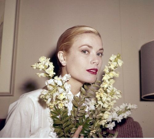 At the Cinema tweet media