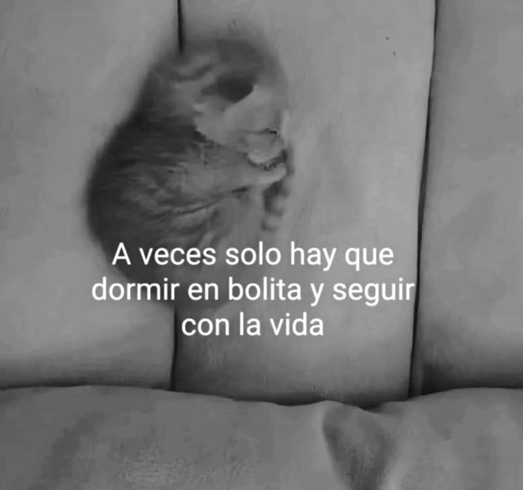 Gerardo Hernández tweet media