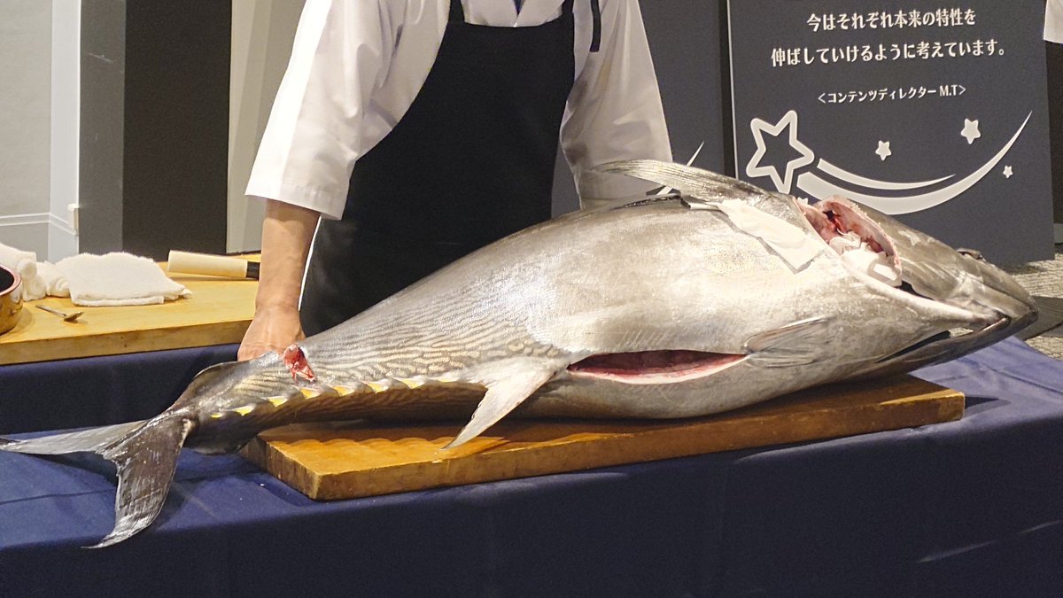 中澤まさとも Masatomo Nakazawa tweet media