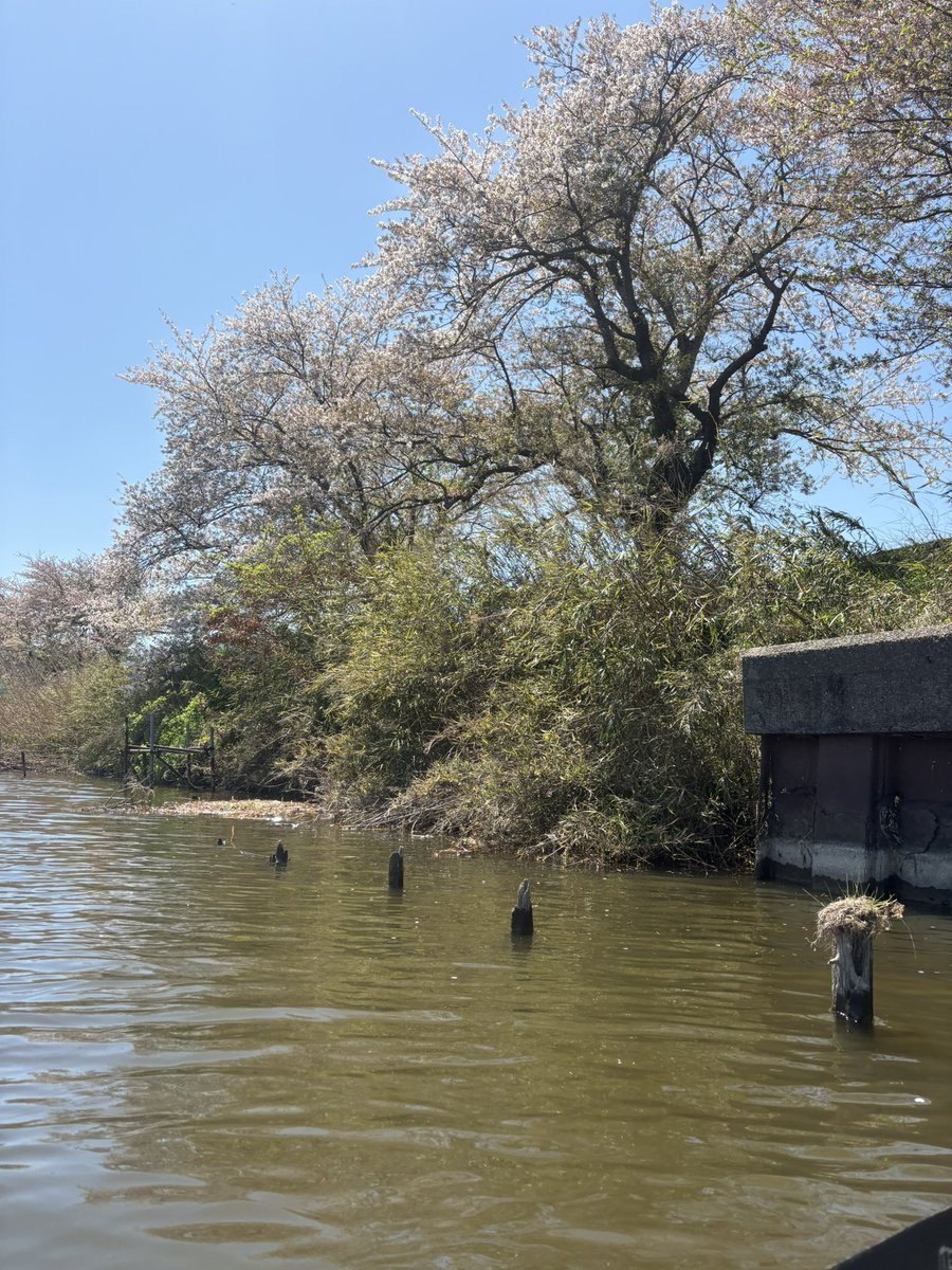 Yusuke Sansuke tweet media