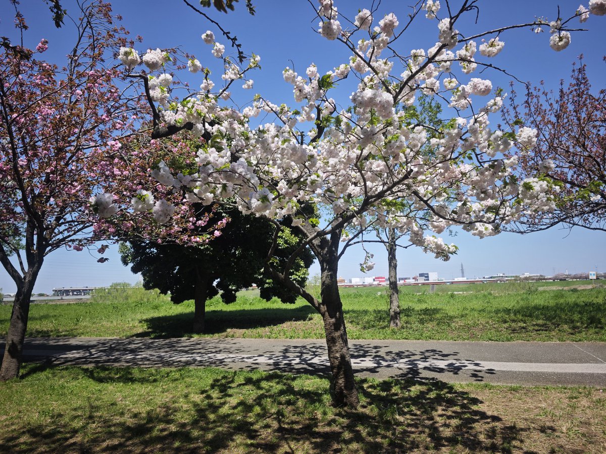 よしとみらくる🌈 tweet media