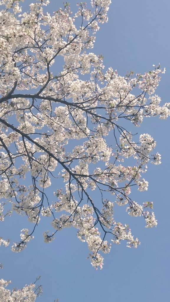 凄い4月って感じ