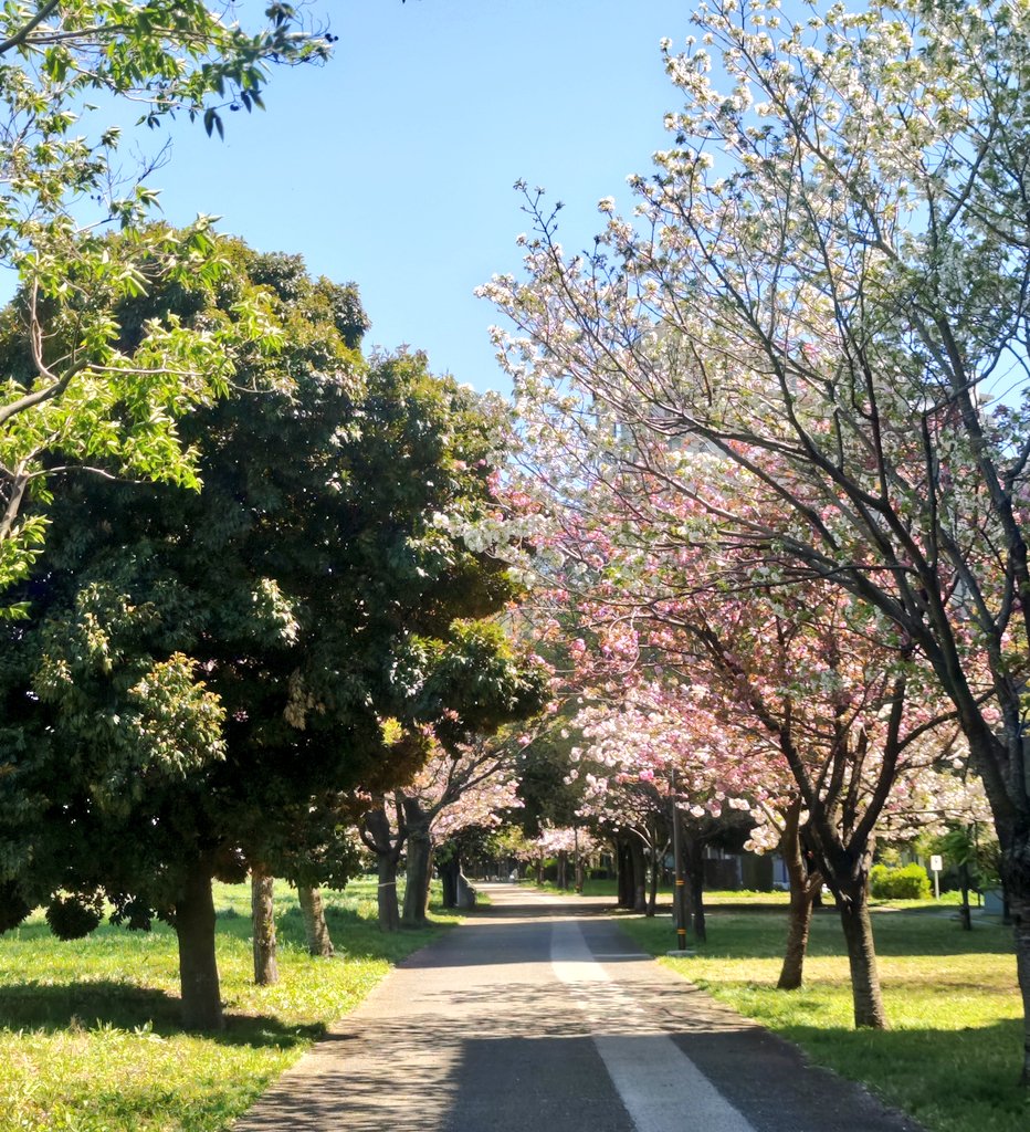 よしとみらくる🌈 tweet media