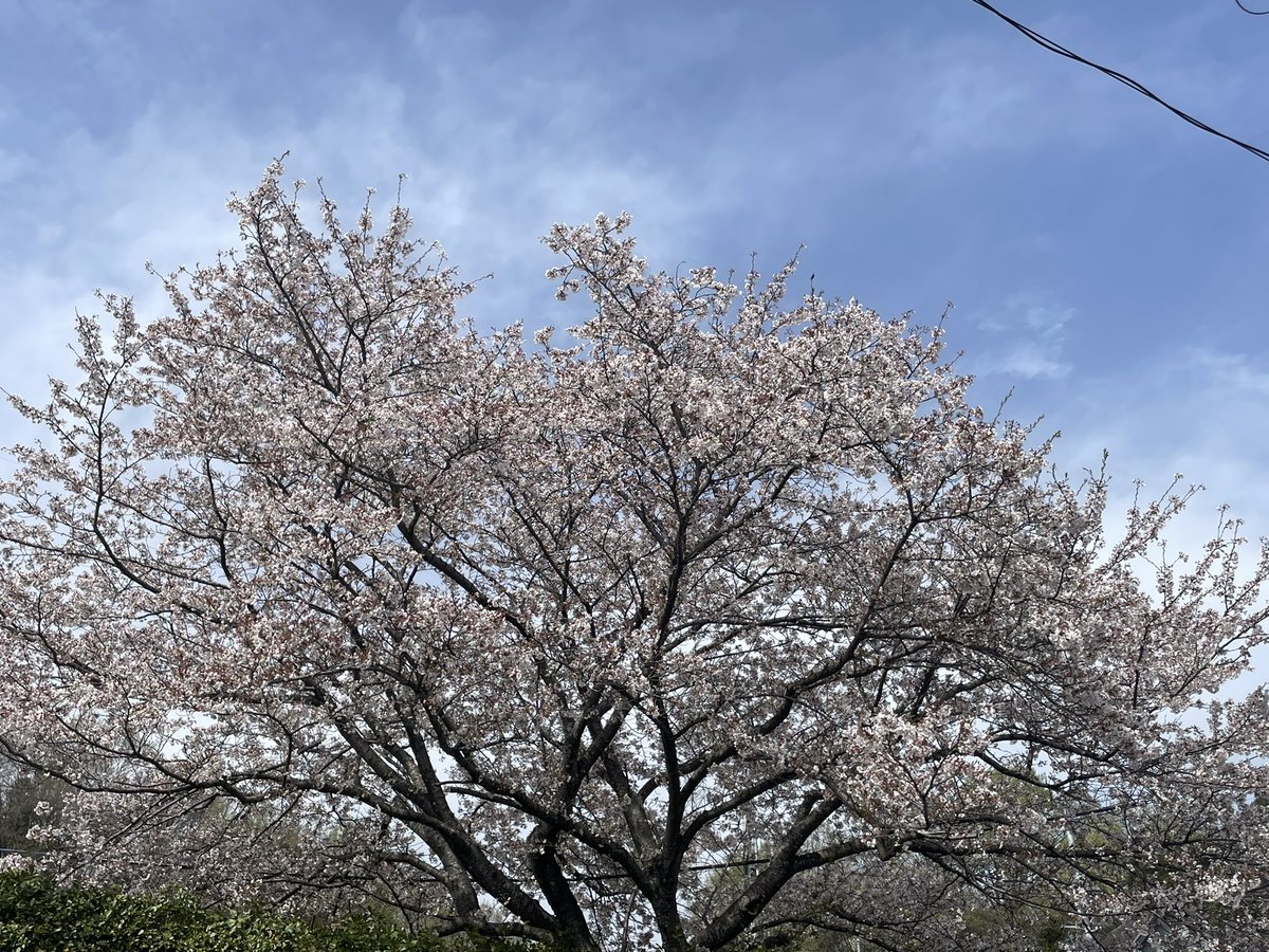 B.B.Keng tweet media