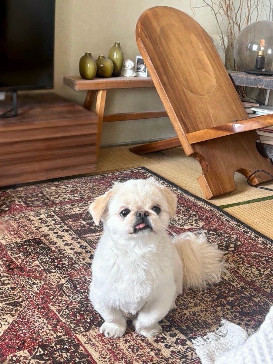 𝐿𝑂𝑉𝐸𝑌𝑂𝑈 tweet media