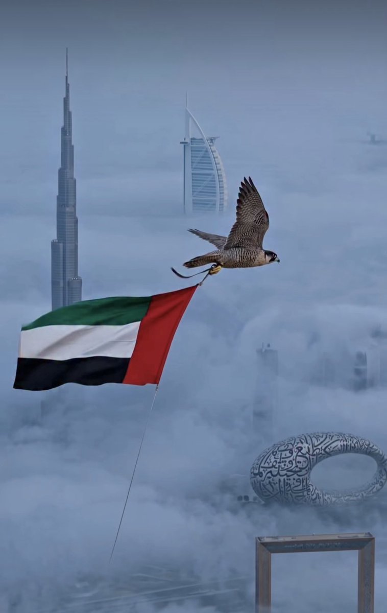 صَوْتُ آلُِآمآرٍآت 🇦🇪 tweet media