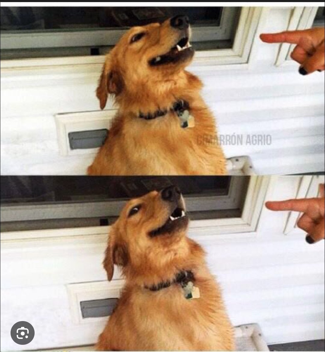 EstereotipoTermo tweet media