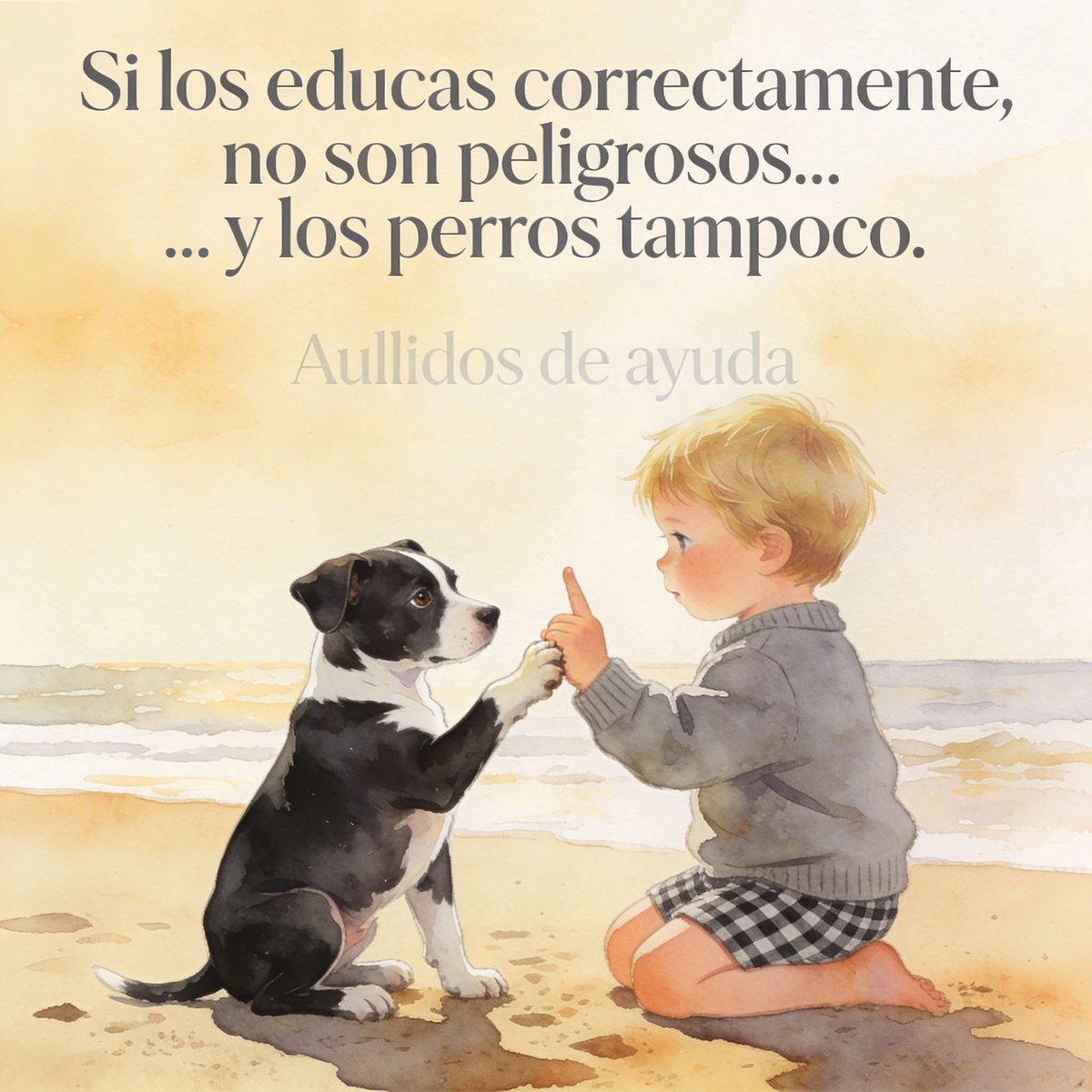 Manu Saenz💛💛 tweet media