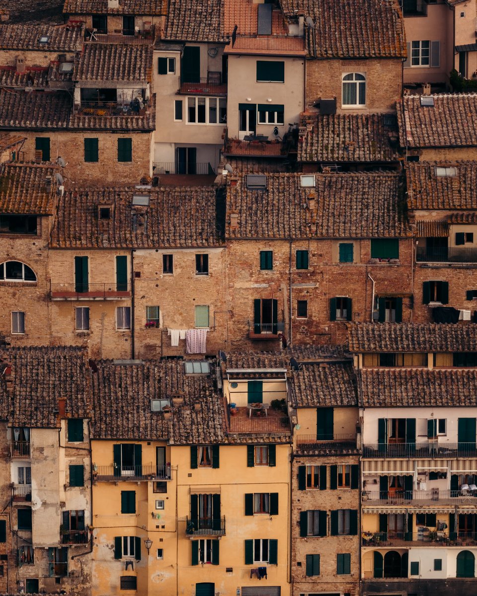 DelightMoments_'s tweet image. Siena, Italy