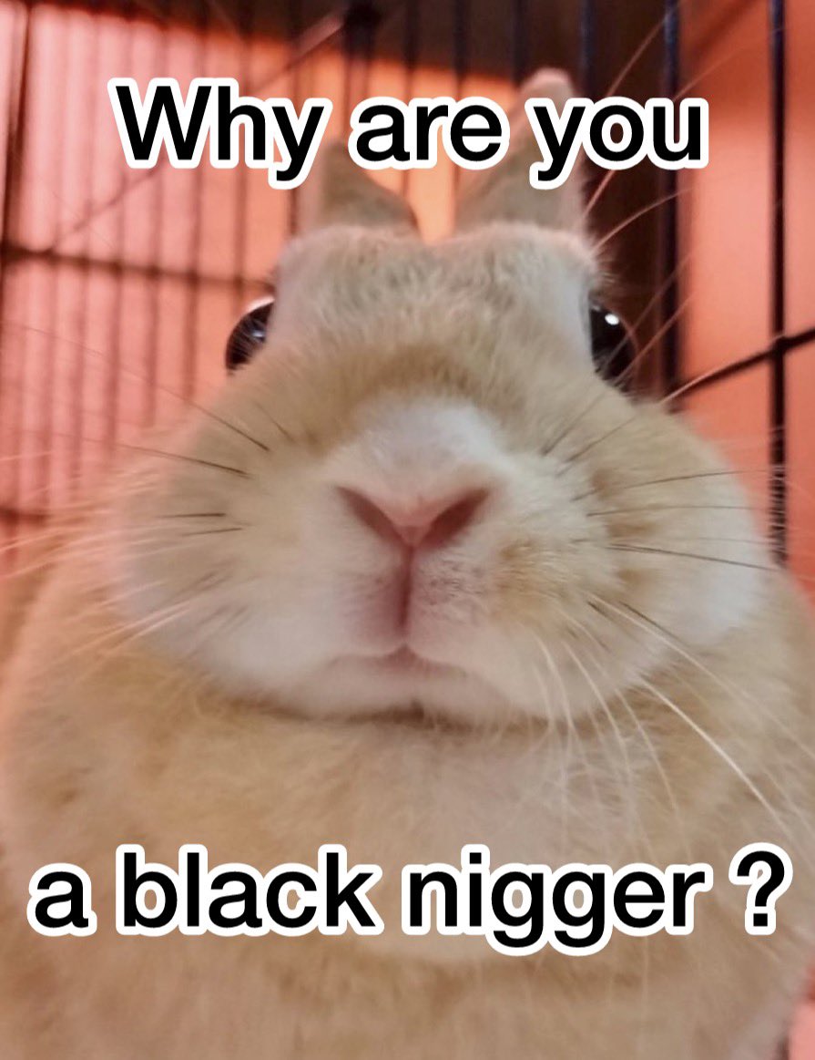 Right turn signal tweet media