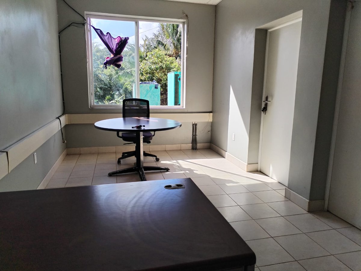 NOTICIAS MUSKITIAHN tweet media