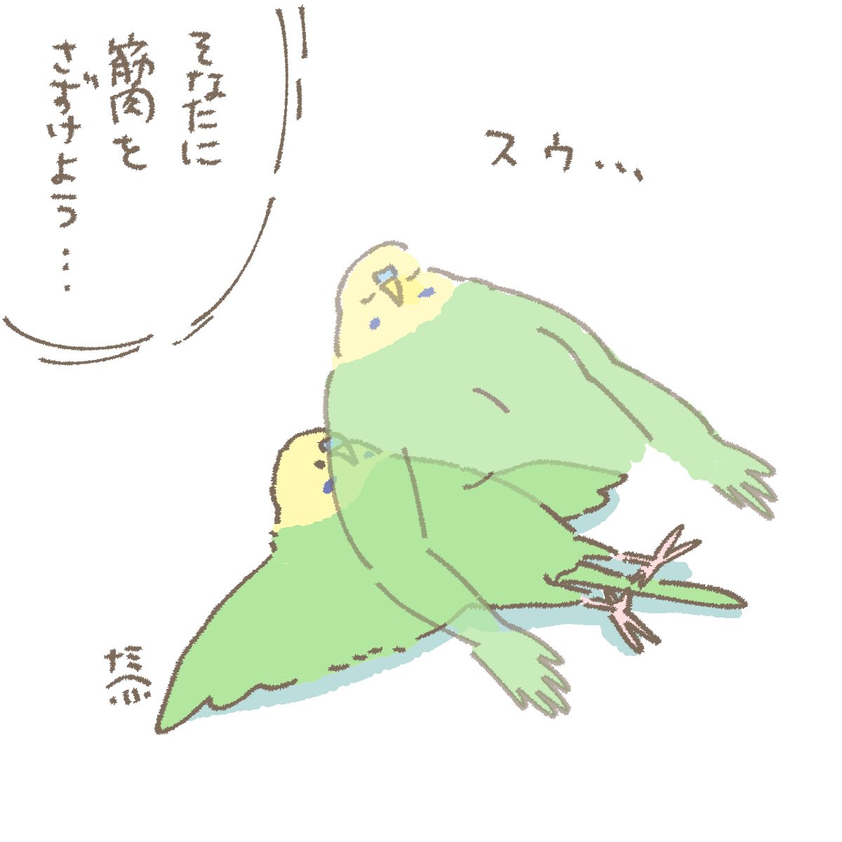 なみへい🦜鳥ﾌｪｽ名古屋5/4在廊 tweet media