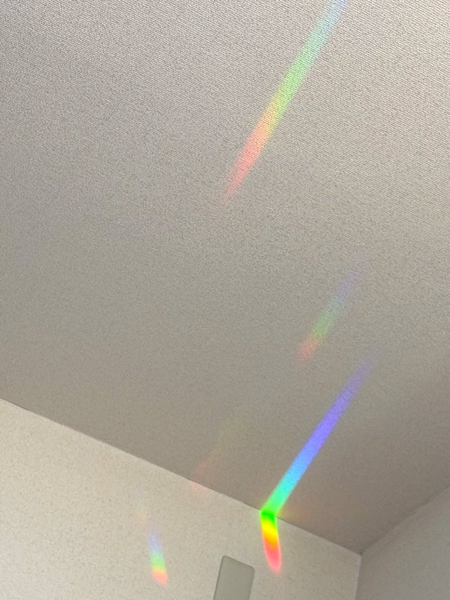 ゆうき＠しゃかりき🎤🎪 tweet media