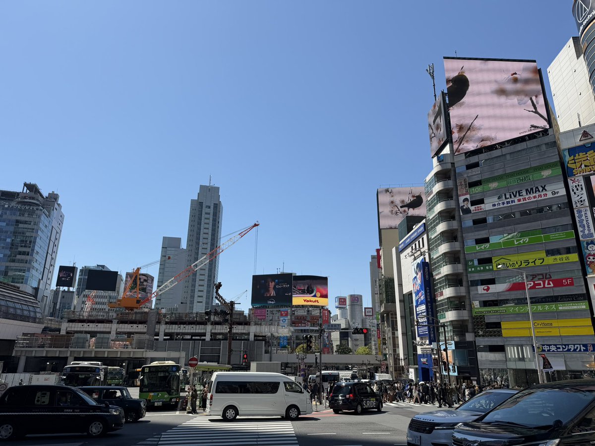 モグ🎸 tweet media