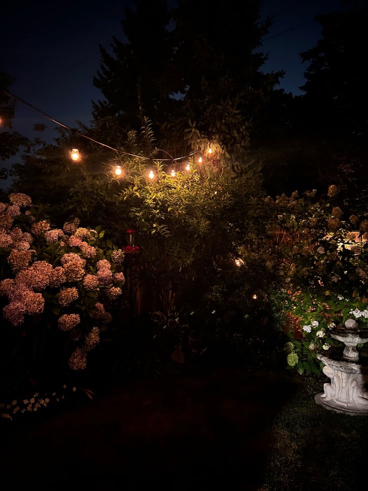 Sunshine࣪ ִֶָ☾ tweet media