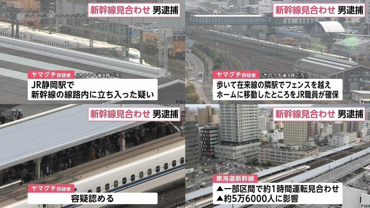 🐾ナンデヤネン tweet media