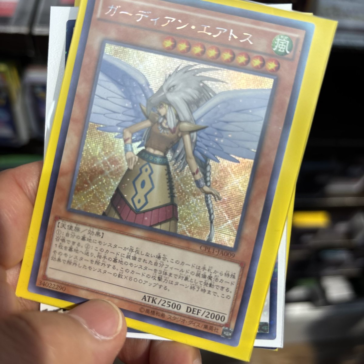 gam(ガム) tweet media