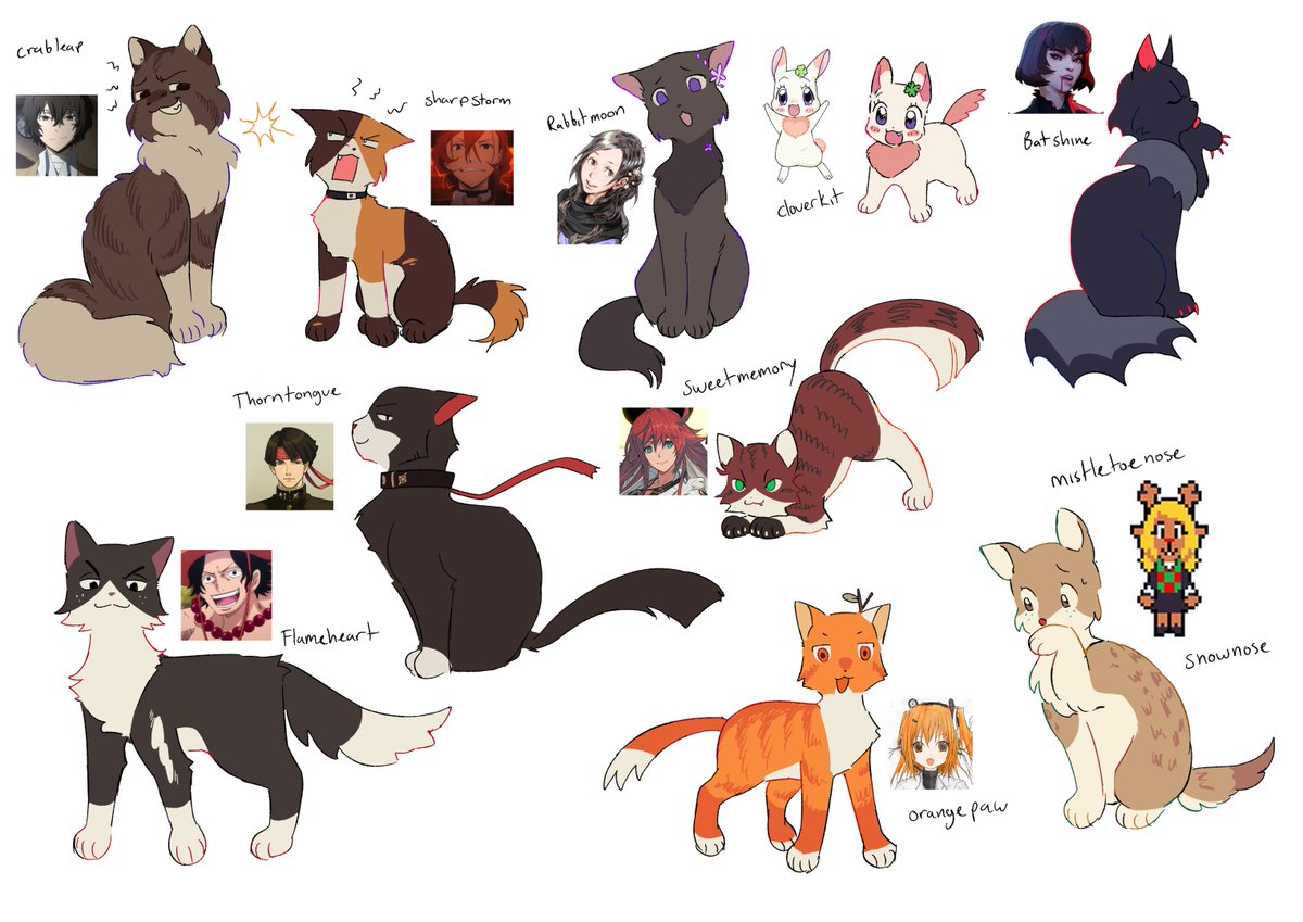 Kirachune's tweet image. heres my fan clan please enjoy my kitties