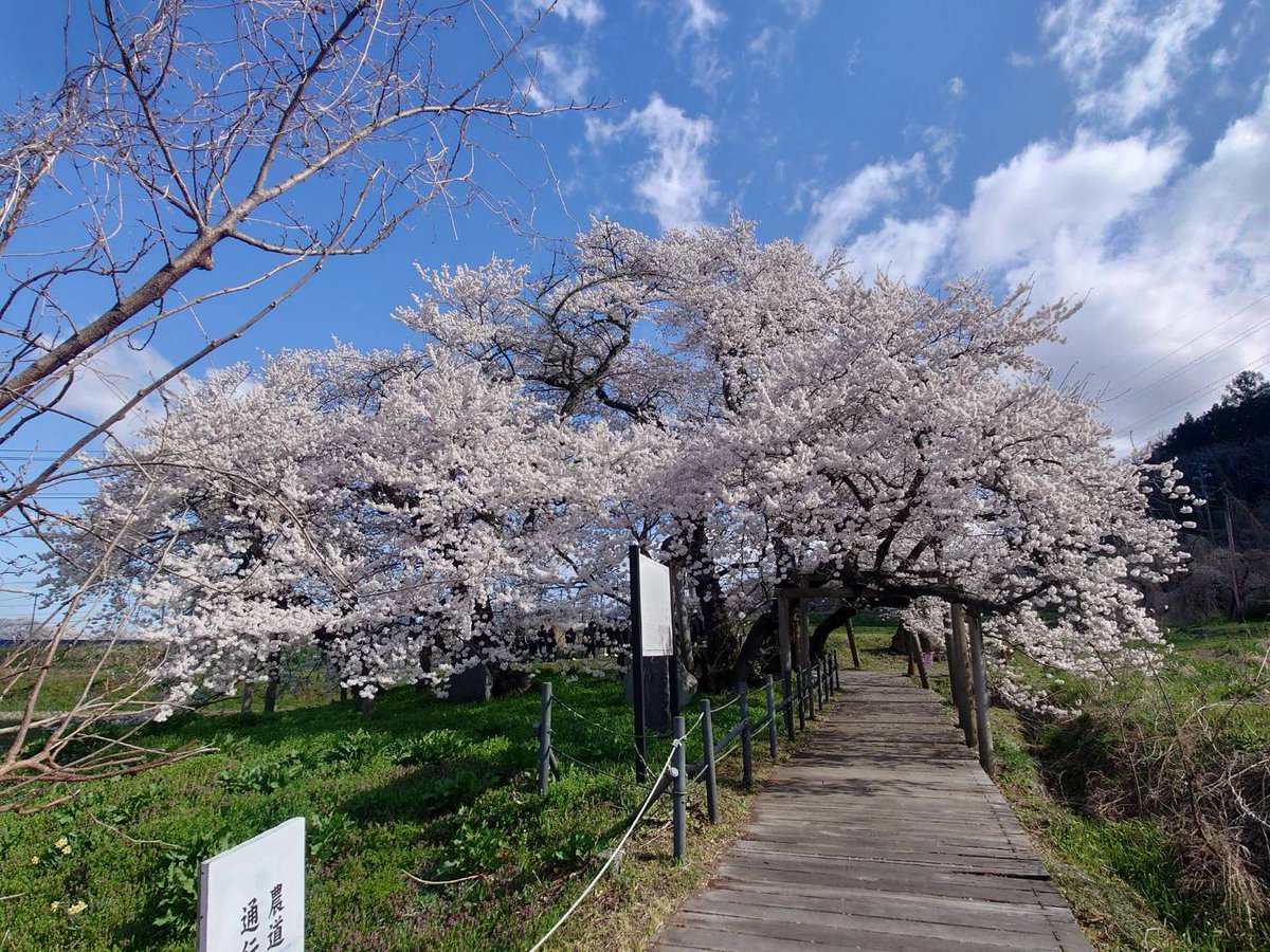 自由になりに俺たちはライブハウスに行ってるんだ