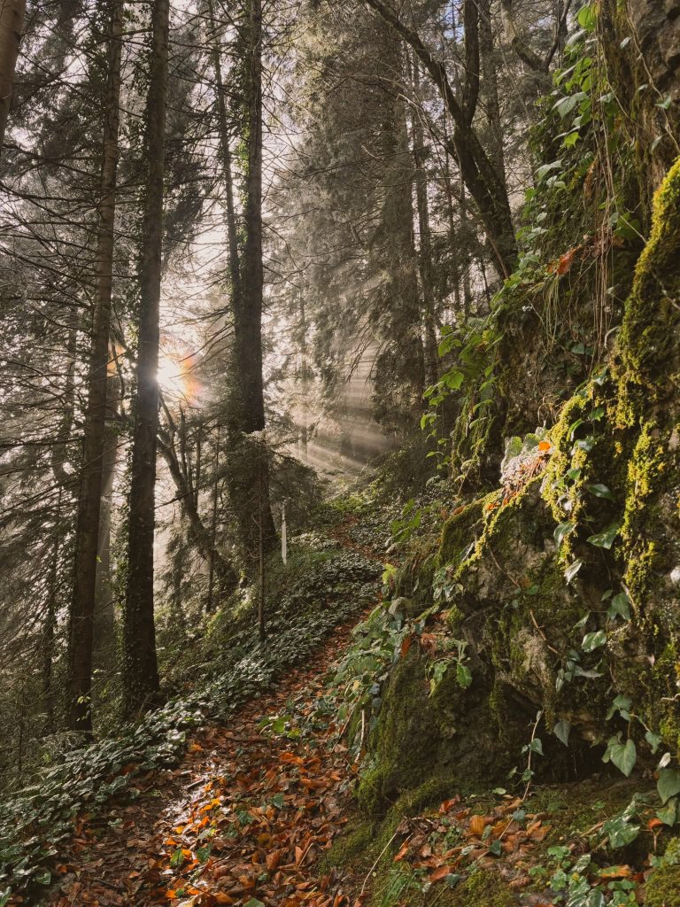 Emine 🐞 tweet media