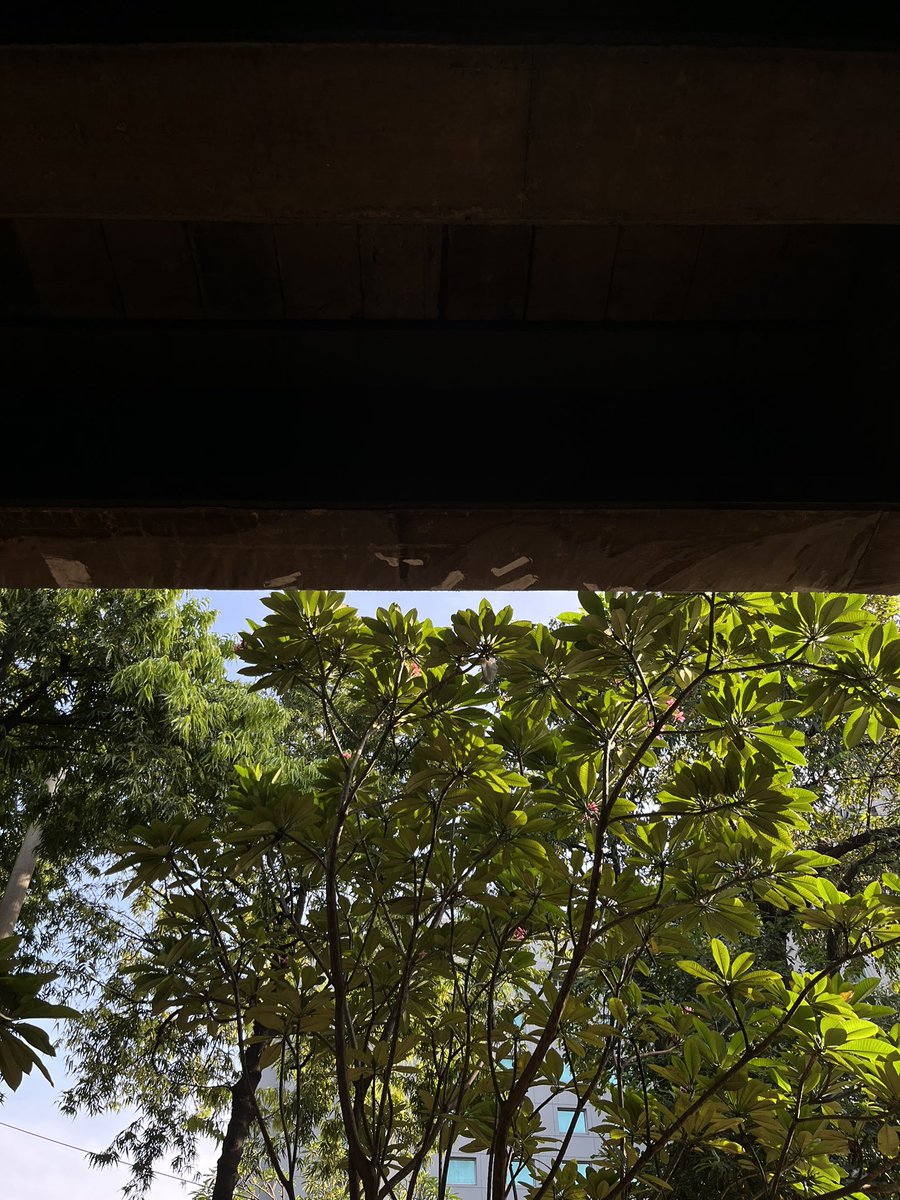 pjtpriapanggil4n tweet media