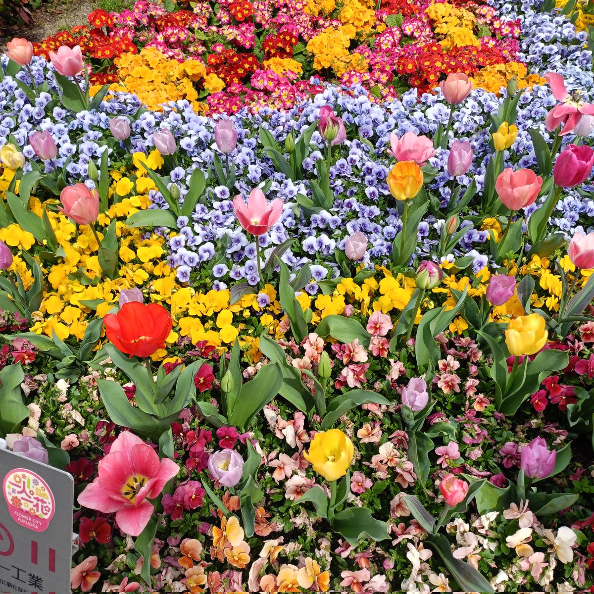 BAR 元紀 tweet media