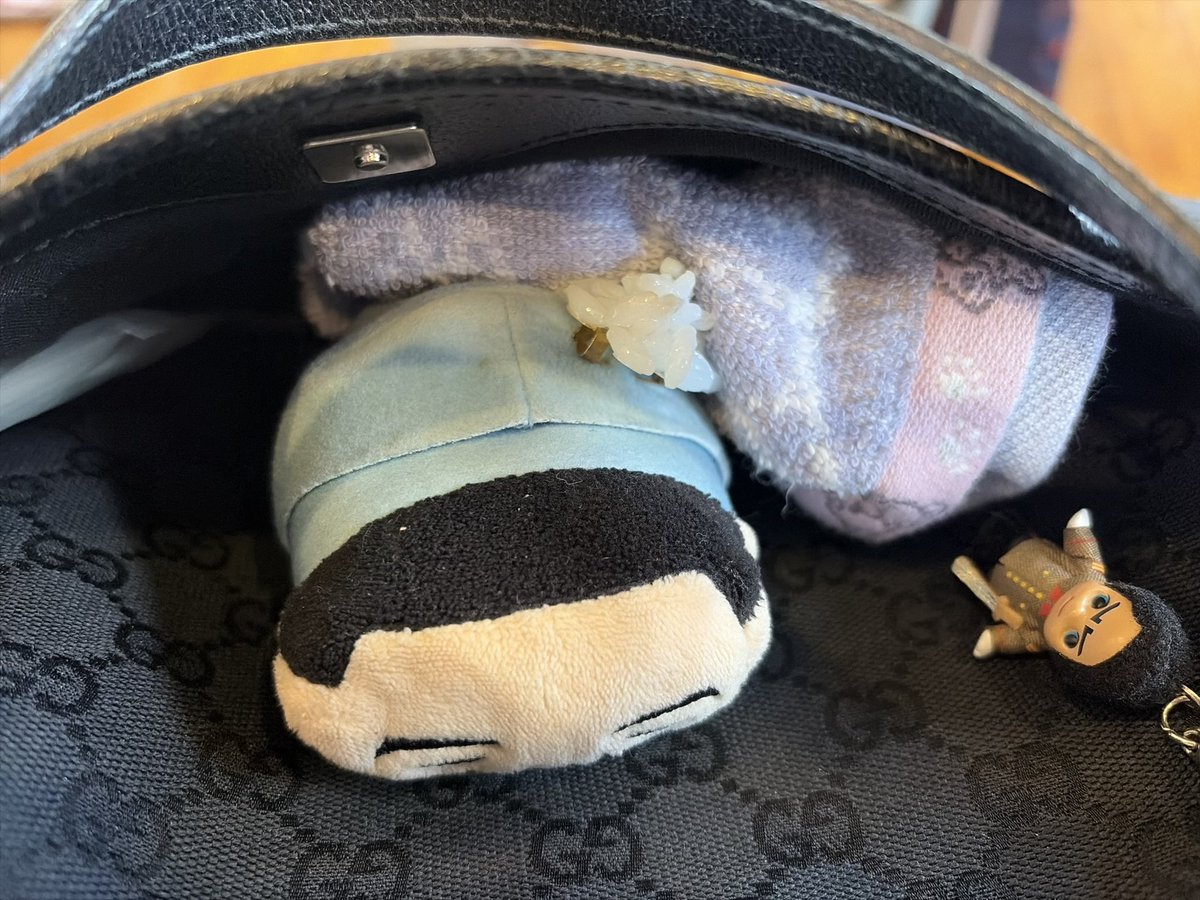 おんせん tweet media