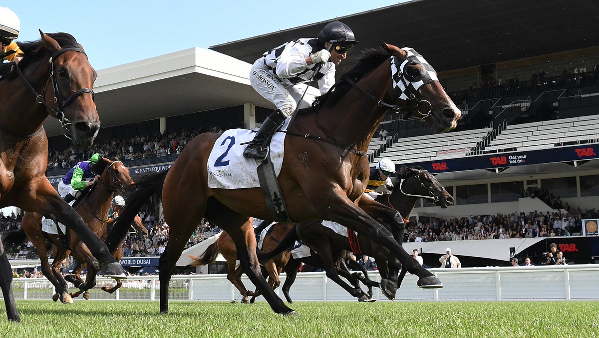 NZ Racing News tweet media