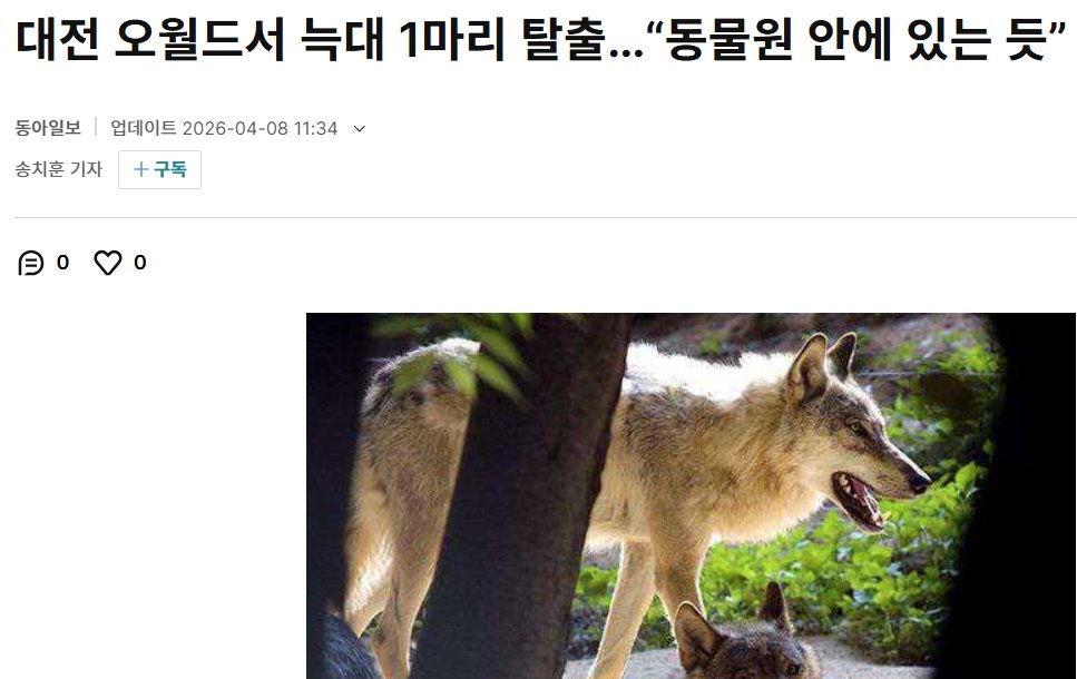 오월드서 늑대 탈출했다는데 '있는듯?'
이건 어떻게 받아 들여야 합니까?

늑대를 찾게 되면 있는거고 
늑대를 못찾게 되면 없는거고

슈뢰딩거의 늑대인가