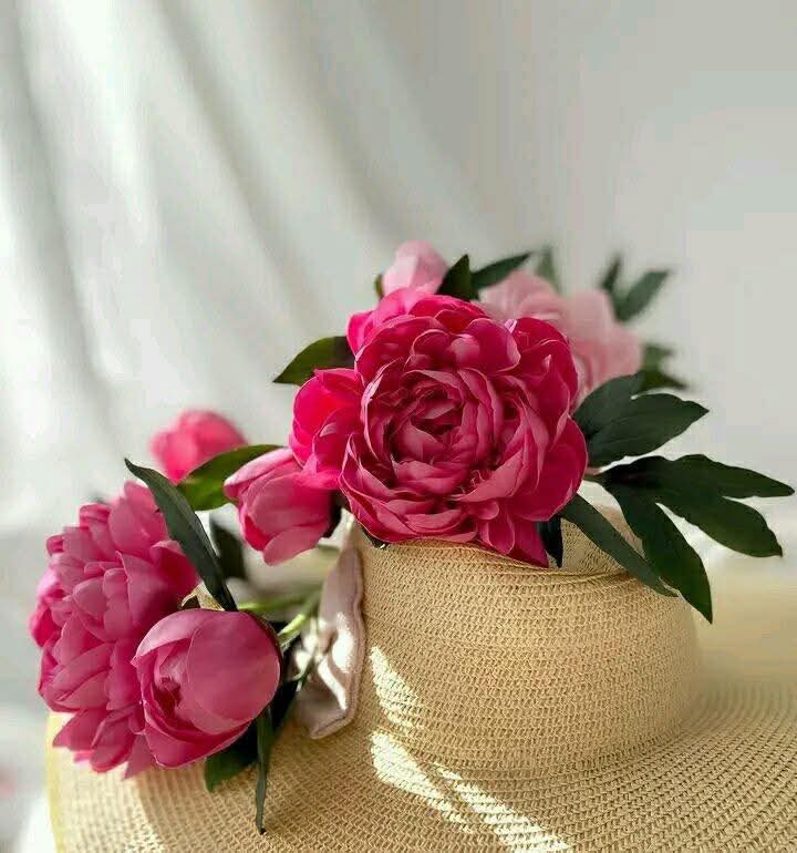 W🖤arda tweet media