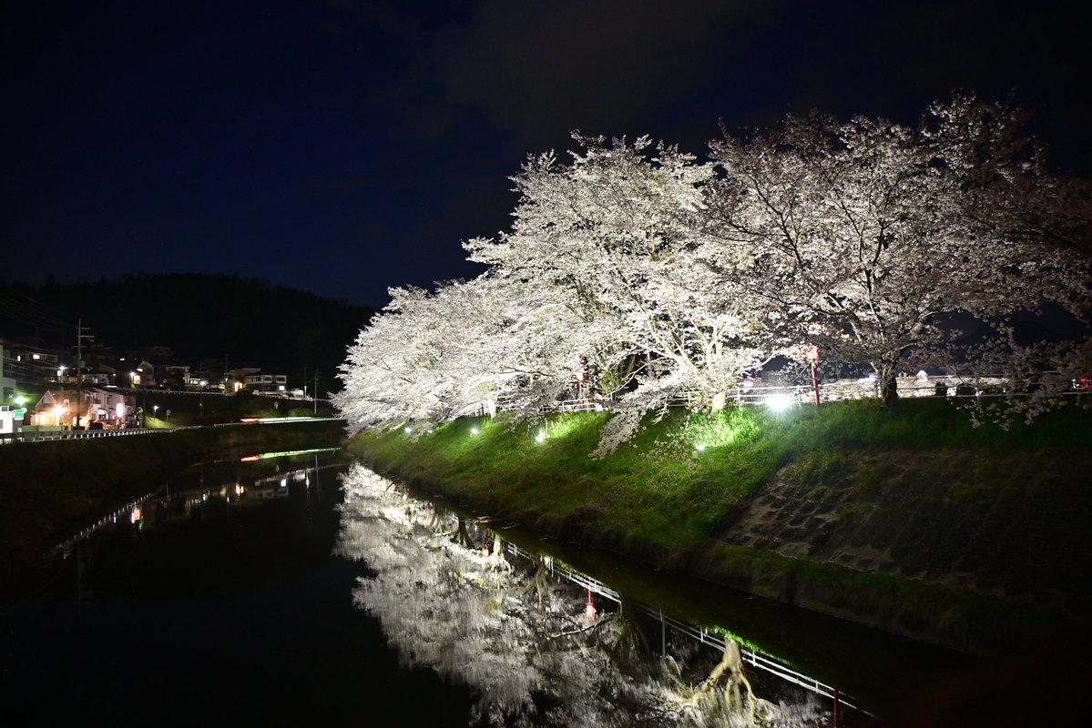 写真日和 tweet media