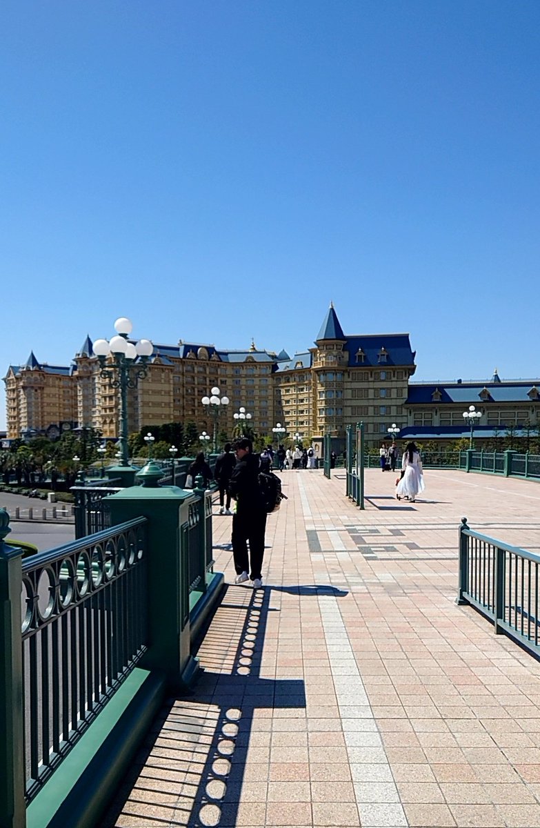 ミニヲタさん♂ tweet media