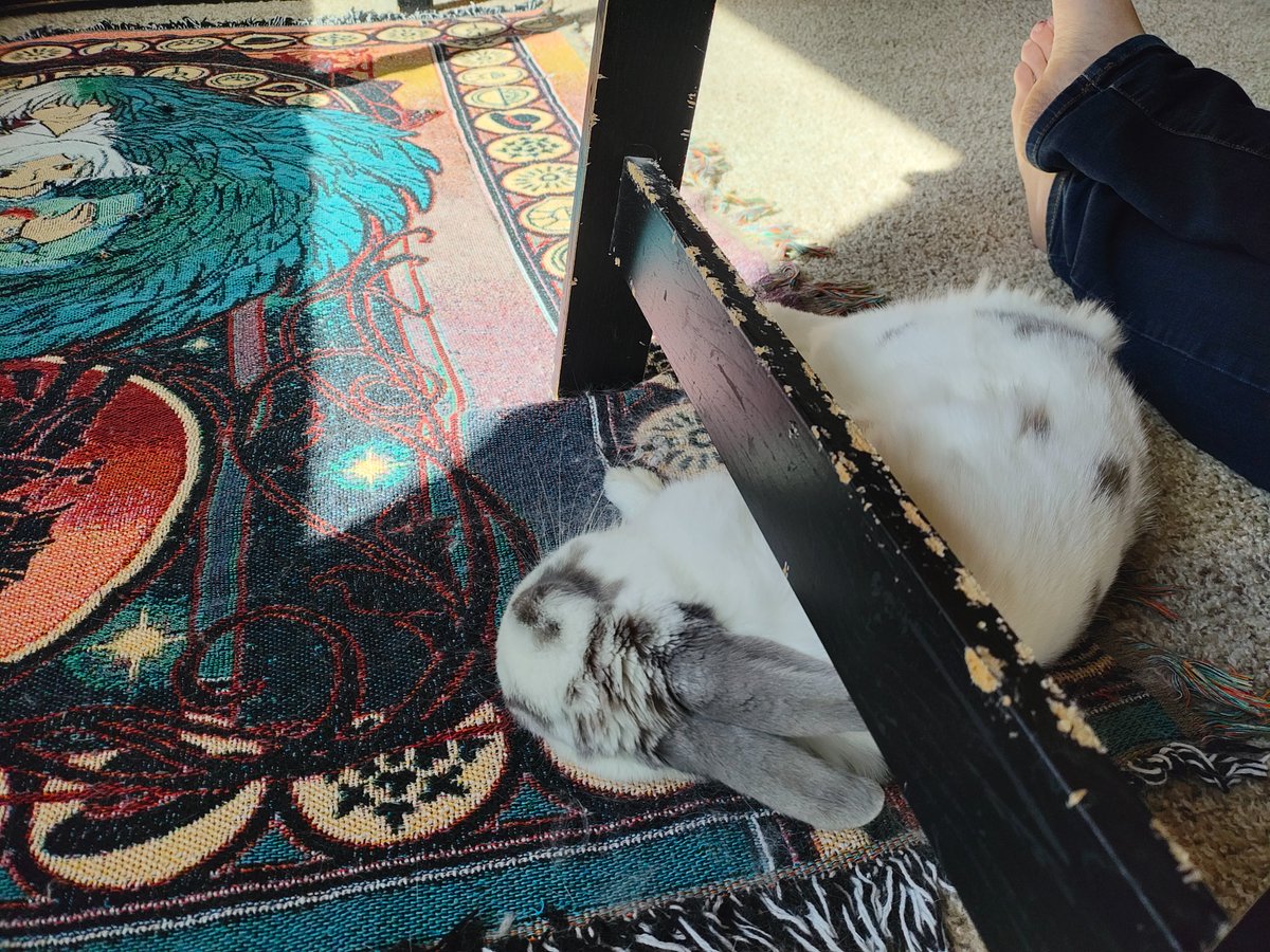 ZiggyWearsHats's tweet image. It's been a really hard day. I don't have words for this kind of pain. But I have a Cloud that I'm holding so close.