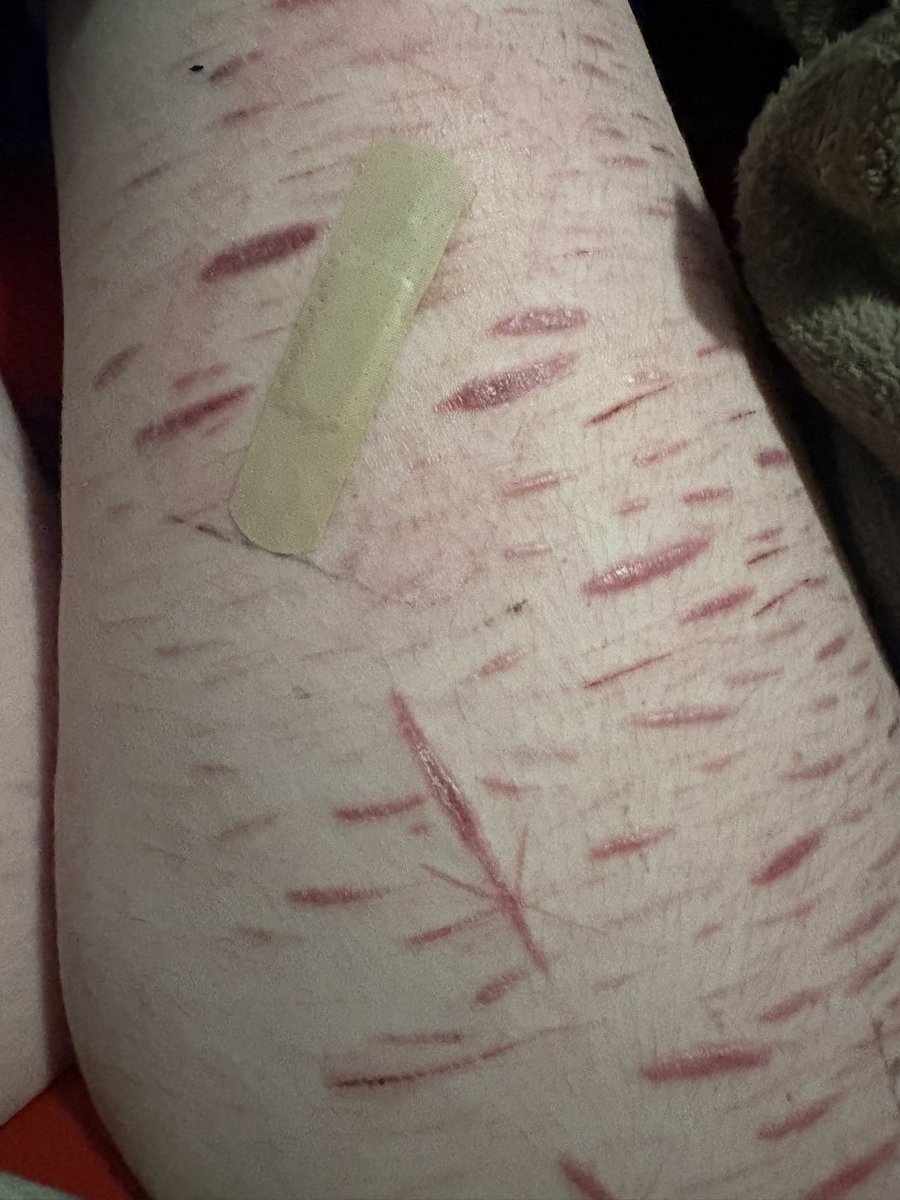 **•̩̩͙✩•̩̩͙*˚ Taiga_of_shedtwt˚*•̩̩͙✩•̩̩͙*˚* tweet media