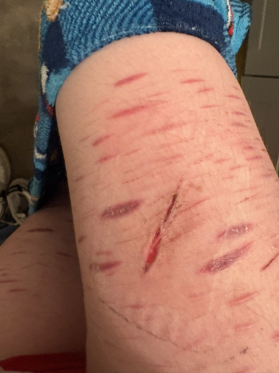 **•̩̩͙✩•̩̩͙*˚ Taiga_of_shedtwt˚*•̩̩͙✩•̩̩͙*˚* tweet media