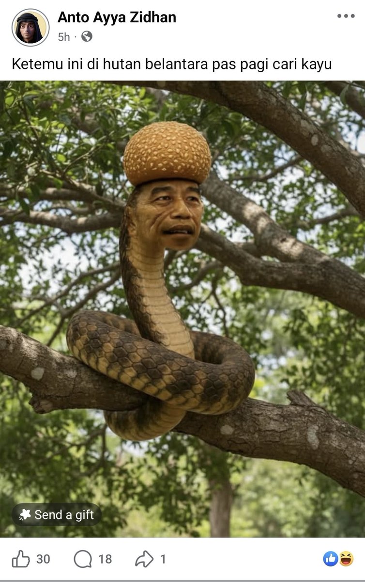 Argentum 1 tweet media