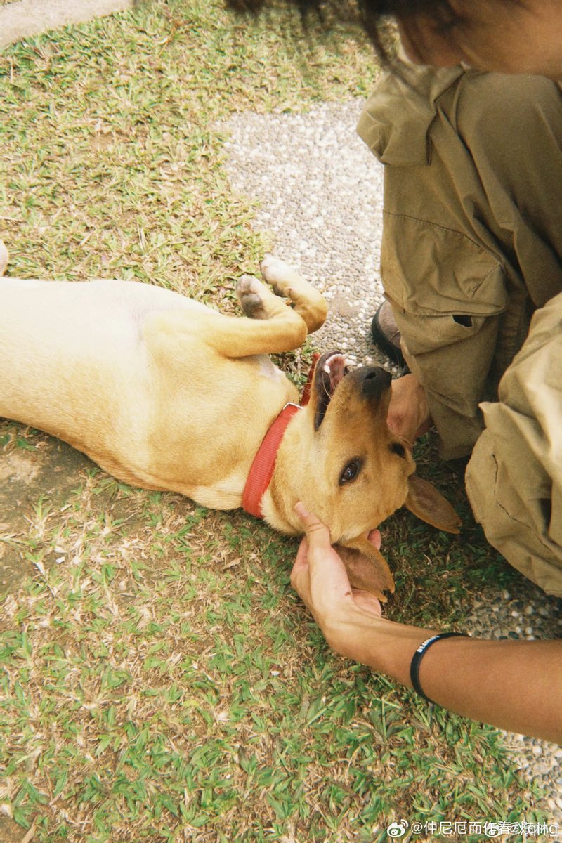 esteban carrazan tweet media