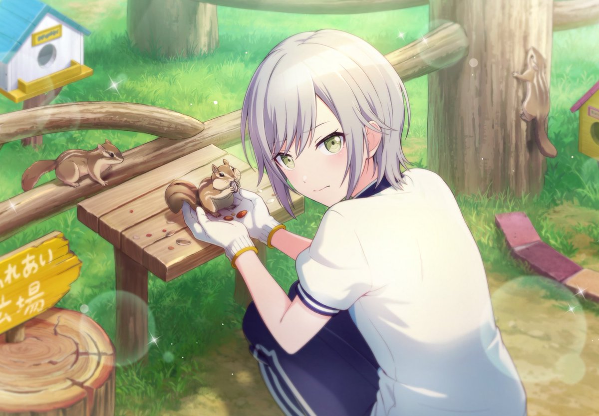 Dog || SHIHO6 LEONI LUKA 4* ILY tweet media