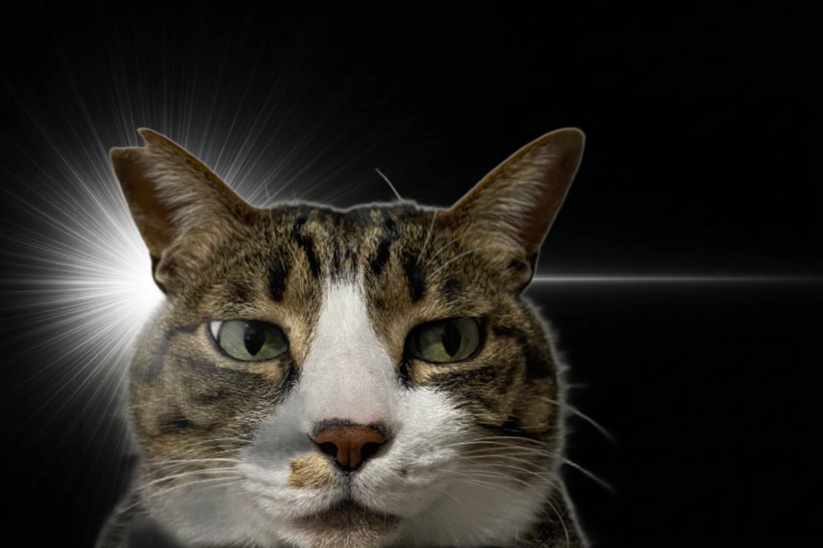 もれそう tweet media