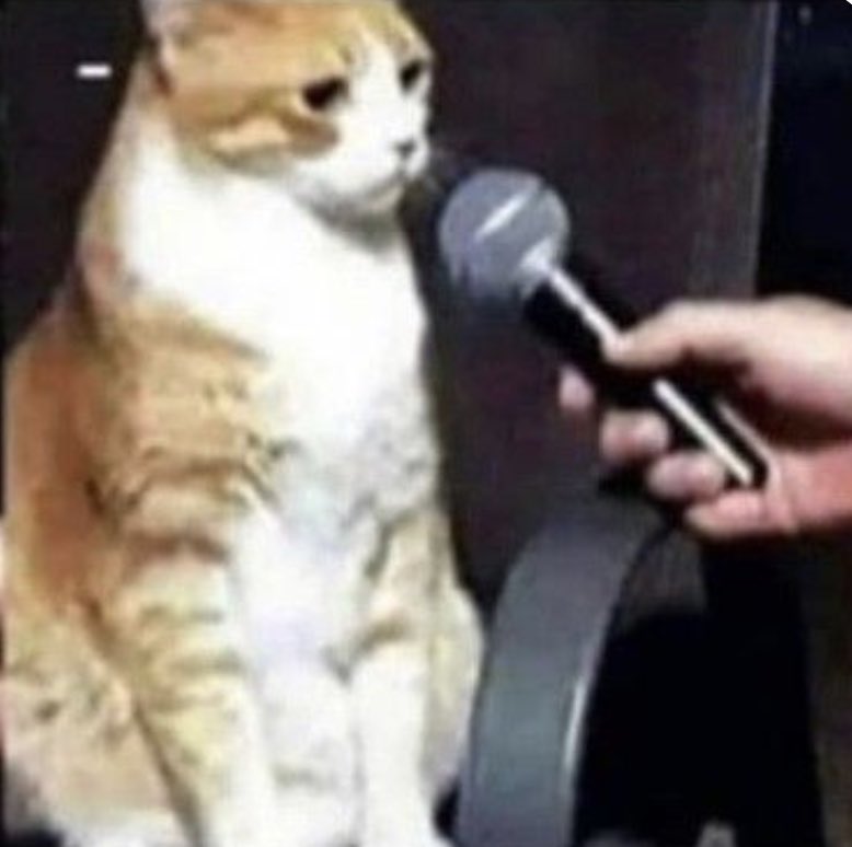 peach and milk 🍑 tweet media