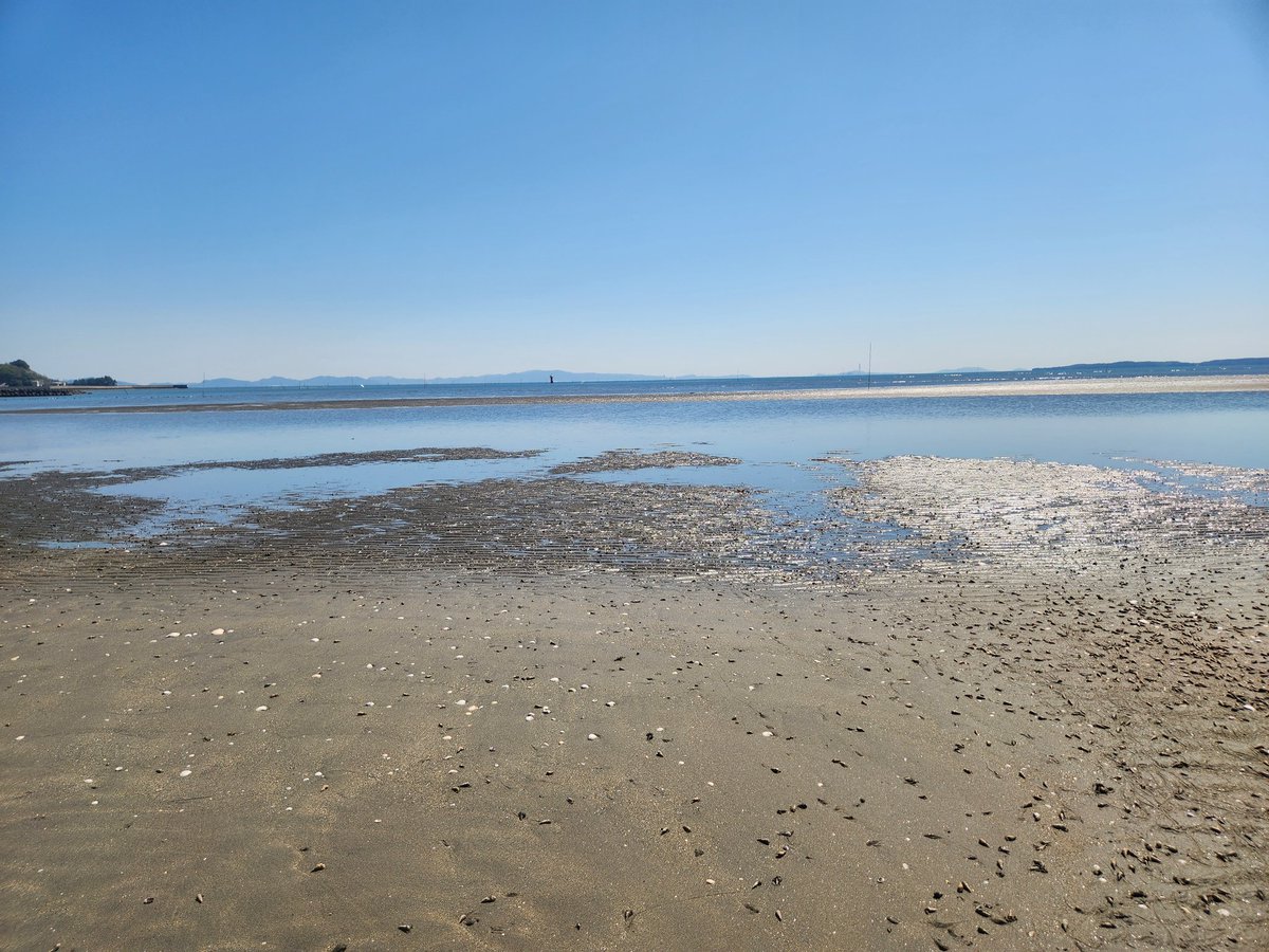 pine(ぱいん🍍) tweet media