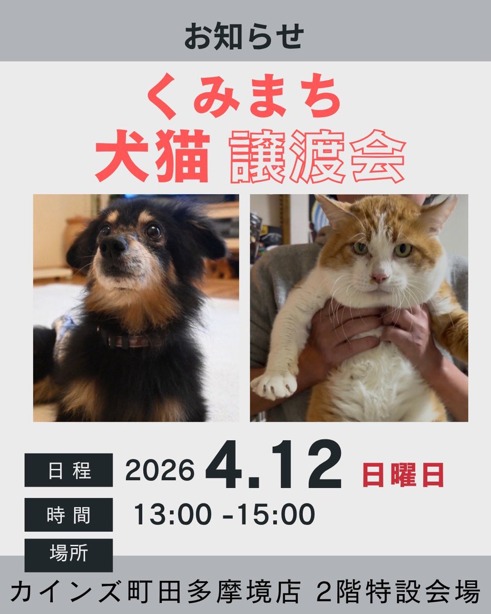 町田動物愛護の会 tweet media