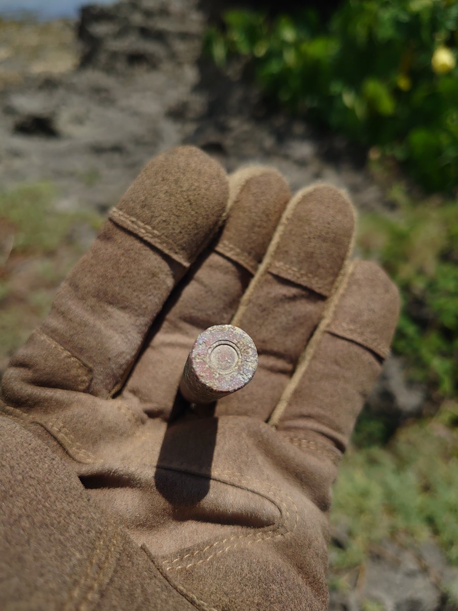 ねぎ塩マシュマロ@沖探会 tweet media