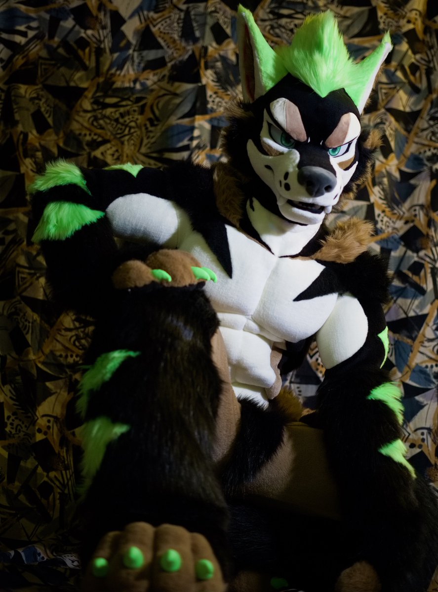 呼ばれれば飛んでいく所存🐺