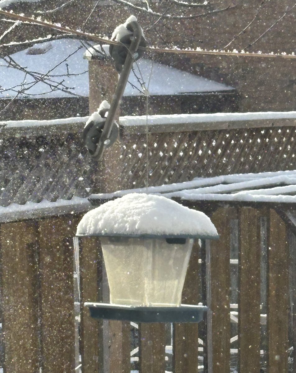 momo 🐚 ➠ limited acc ♡.ᐟ tweet media