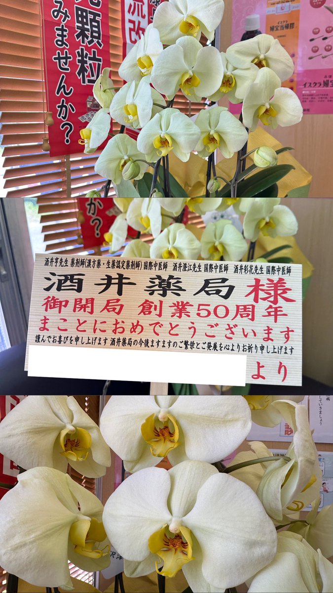 ayaka_kampo's tweet photo. 本日4月8日をもって、酒井薬局は創業50周年を迎えました。
本当にありがとうございます。

祖母の代より続く当薬局は、多くの皆さまに支えていただき、ここまで歩んでくることができました。
これからも皆さまのお役に立てますよう、努めてまいります。
今後ともよろしくお願いいたします！ https://t.co/S1dd9gCkA5
