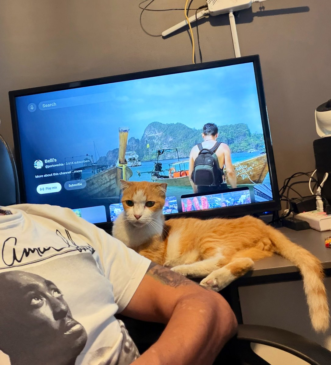 ʙᴇʟʟɪ's (yeni hesap) tweet media