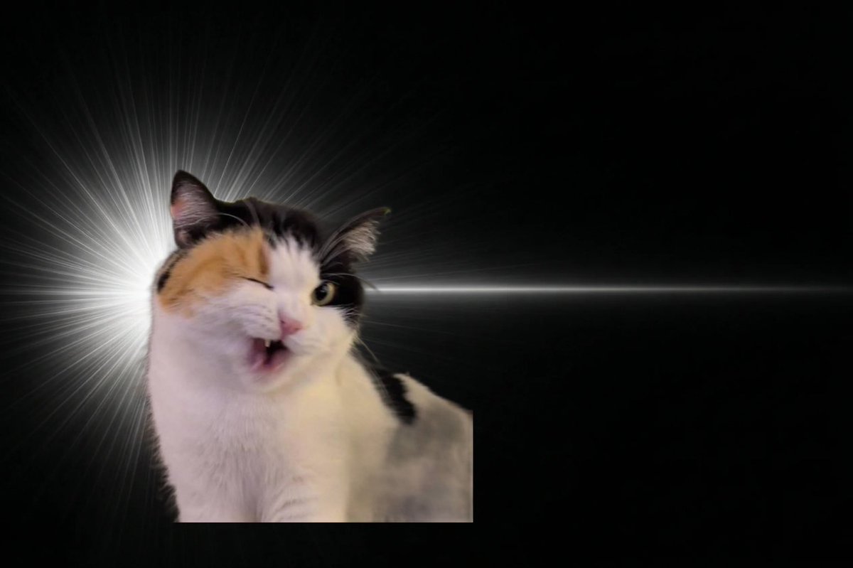 ねっつ🐰🍜 tweet media